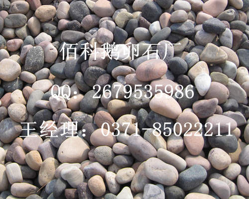 佰科鵝卵石廠儲存白色5-8公分變壓器鵝卵石場地