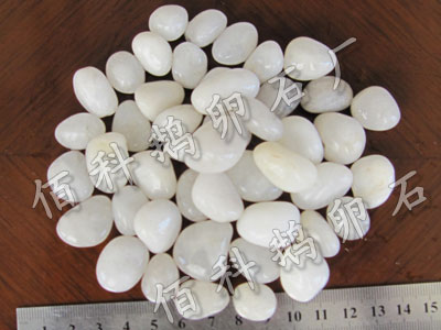 鵝卵石與陽(yáng)春面的哲學(xué)?